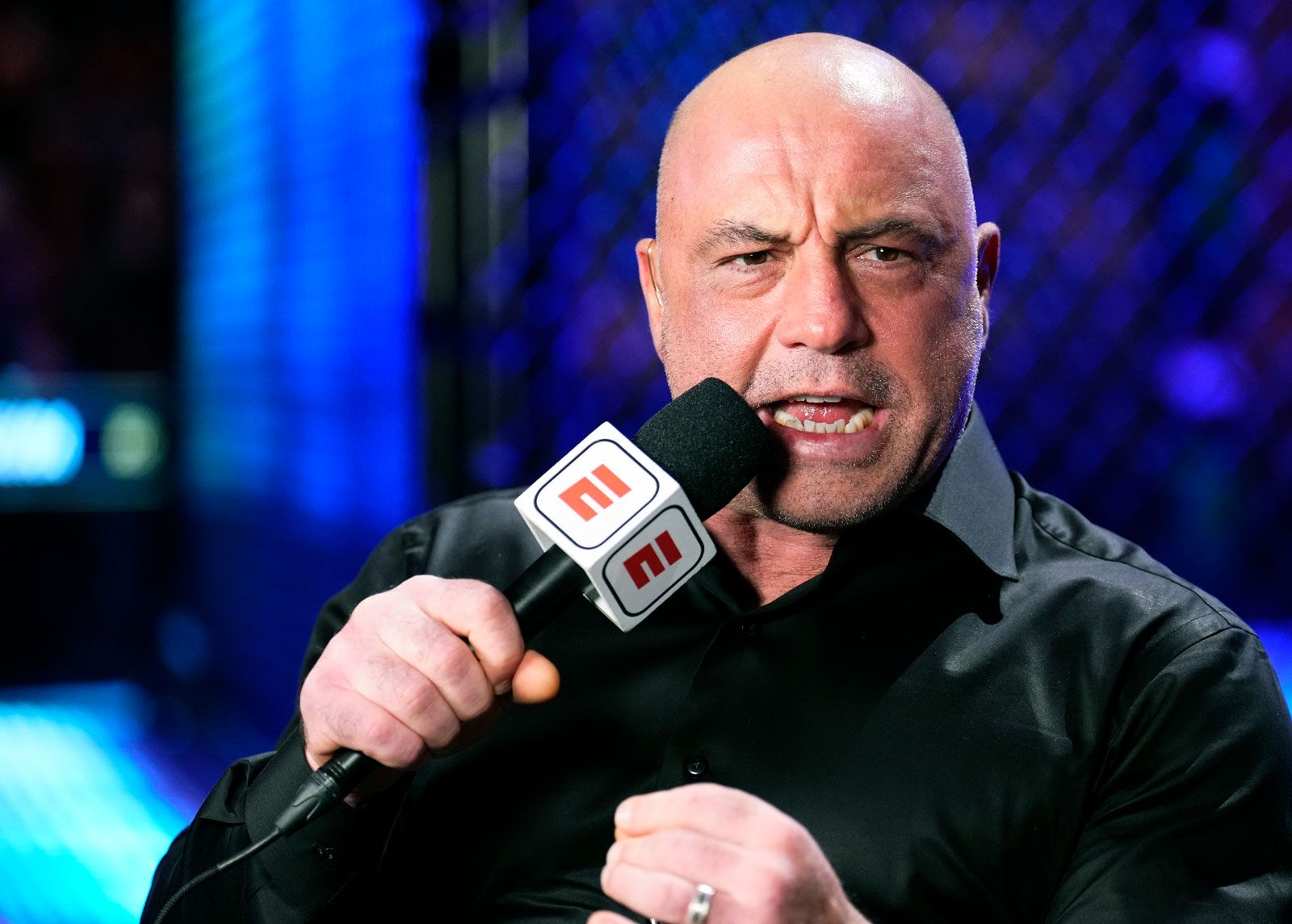 Joe Rogan UFC 281 announcer New York 2022 - Sapnap Store